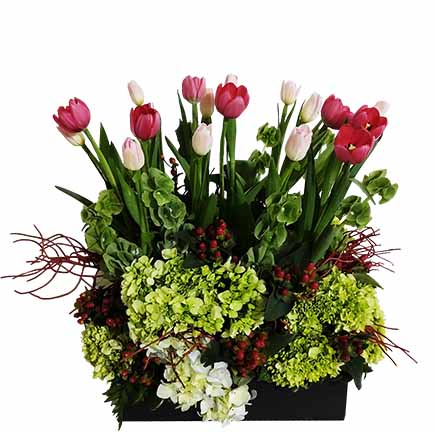 18 tulipanes rojos y rosados con hortencias y follaje