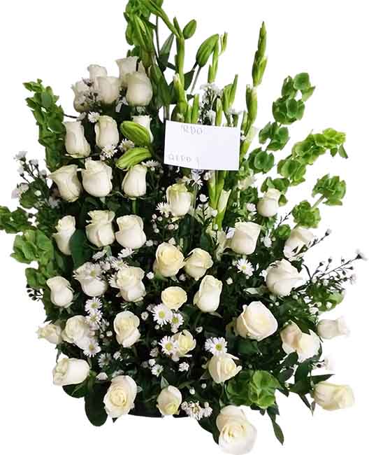  arreglo de condolencia con 40 rosas blancas,gladiolas baby campana irlandesa o eucalipto
        
