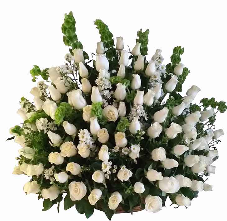 canasata luctuosa con 100 rosas blancas, montecasino y eucalito, mensaje personalizado de condolencias