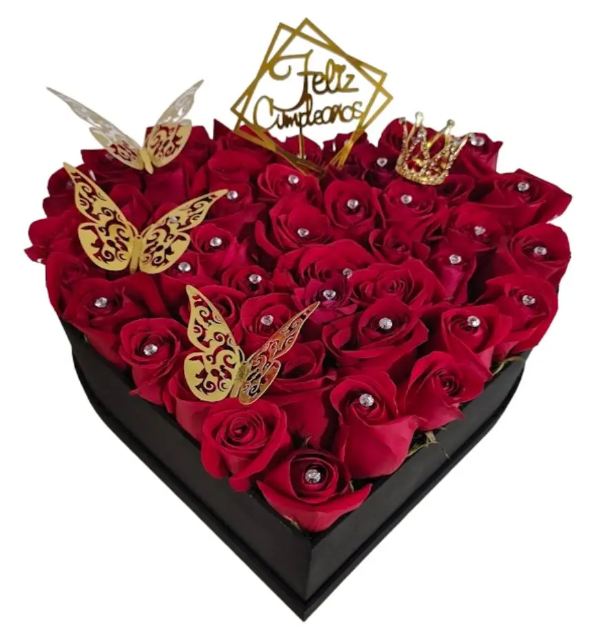 corazon con 50 rosas y mariposas decorativas