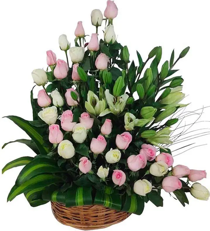 canastacon rosas rosadas y blancas,lilis,envio a domicilio en veracruz