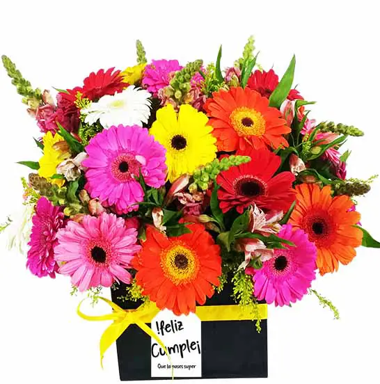 arreglo con gerberas de colores y snapdragon