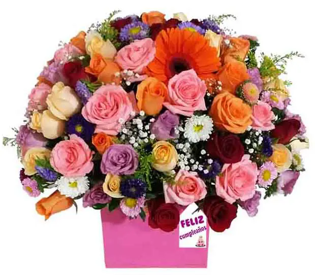 caja redonda con rosas,gerberas,lisianthus,eucalipto