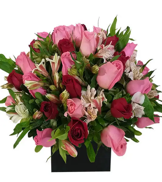 24 rosas,morelianas,eucalipto,caja de madera