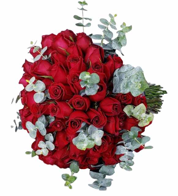 ramo buchon con 100 rosas rojas y eucalipto