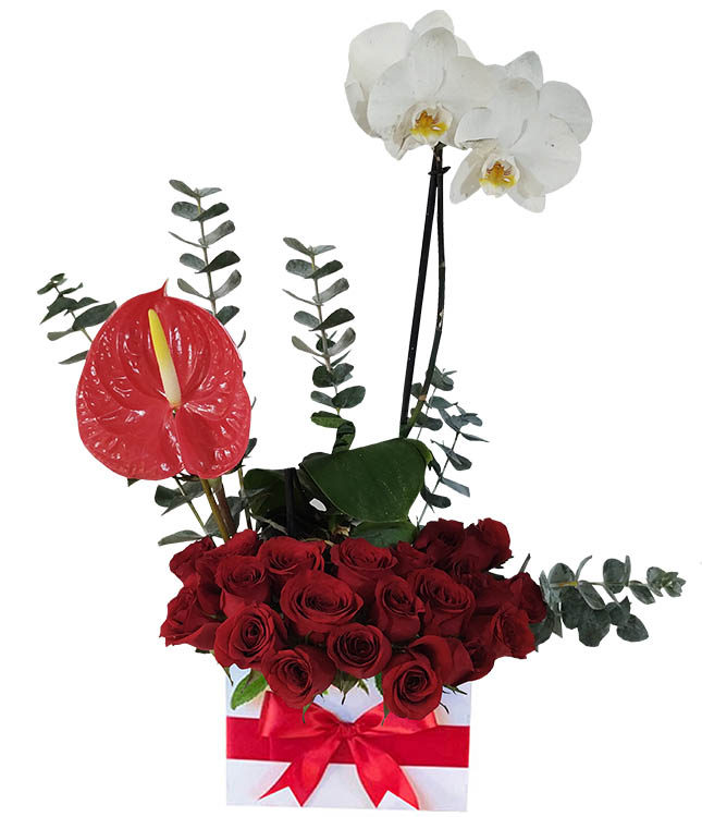orquidea blanca mas 24 rosas rojas en caja blanca