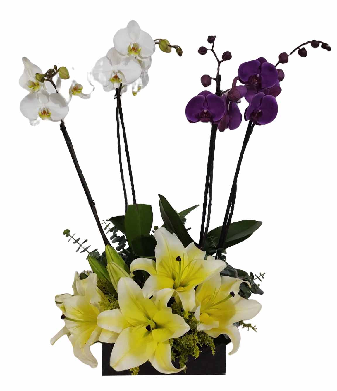 orquideas con lilis en caja