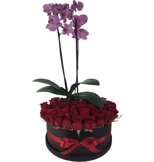 caja con orquidea y 25 rosas rojas