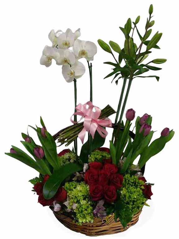canasta con orquidea tulipanes rosas y lilis