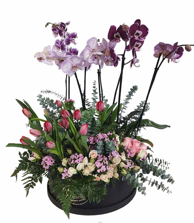 orquideas y tulipanes en caja