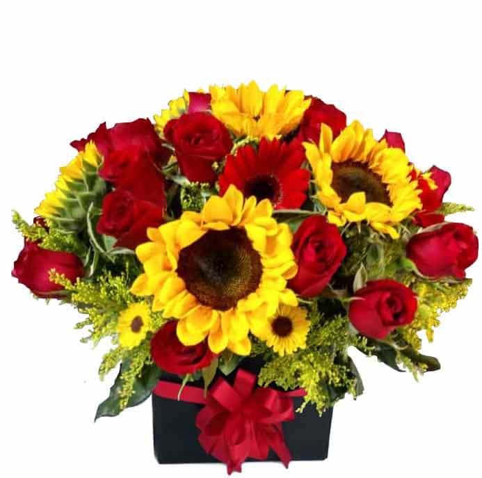 box con girasoles y rosasFlorería en Veracruz y Boca del Río: ¡Envío a domicilio! Encuentra las mejores flores y arreglos florales para cualquier ocasión