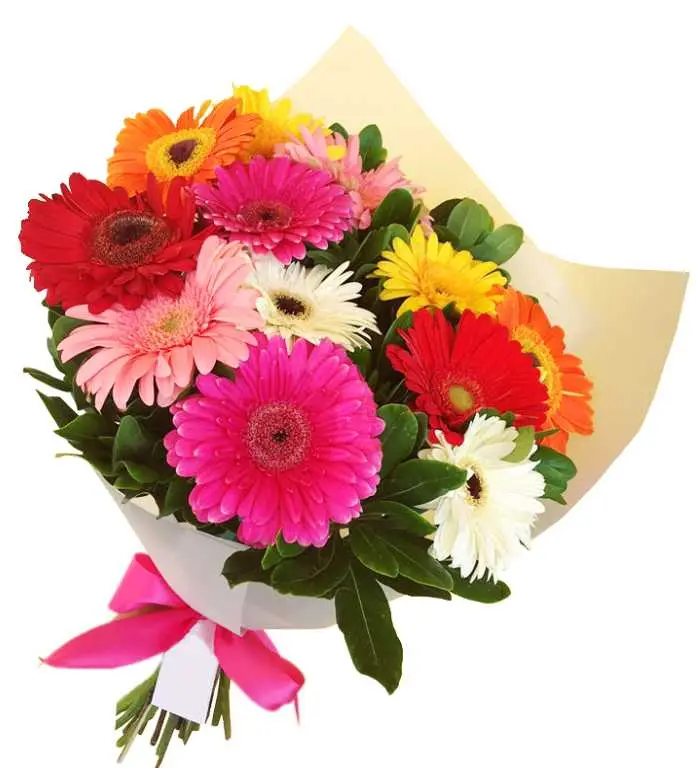 jarron con margaritas y rosasFlorería en Veracruz y Boca del Río: ¡Envío a domicilio! Encuentra las mejores flores y arreglos florales para cualquier ocasión